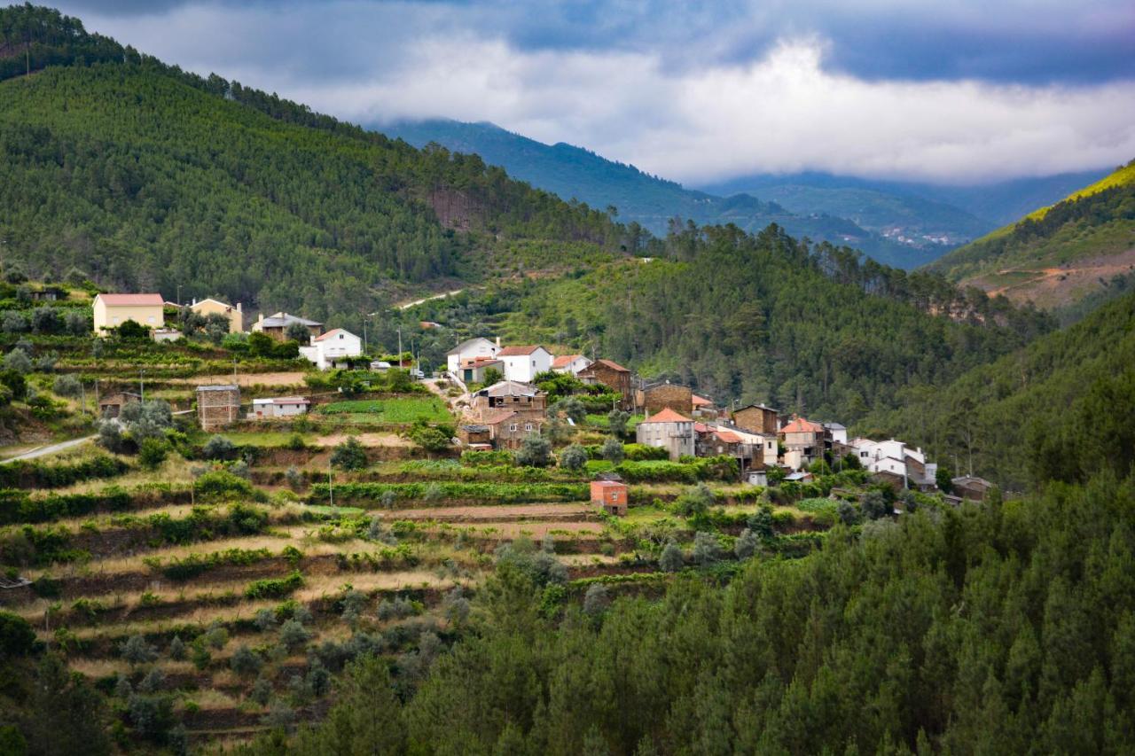 Casa Do Azereiro Villa Casal do Rei  Dış mekan fotoğraf