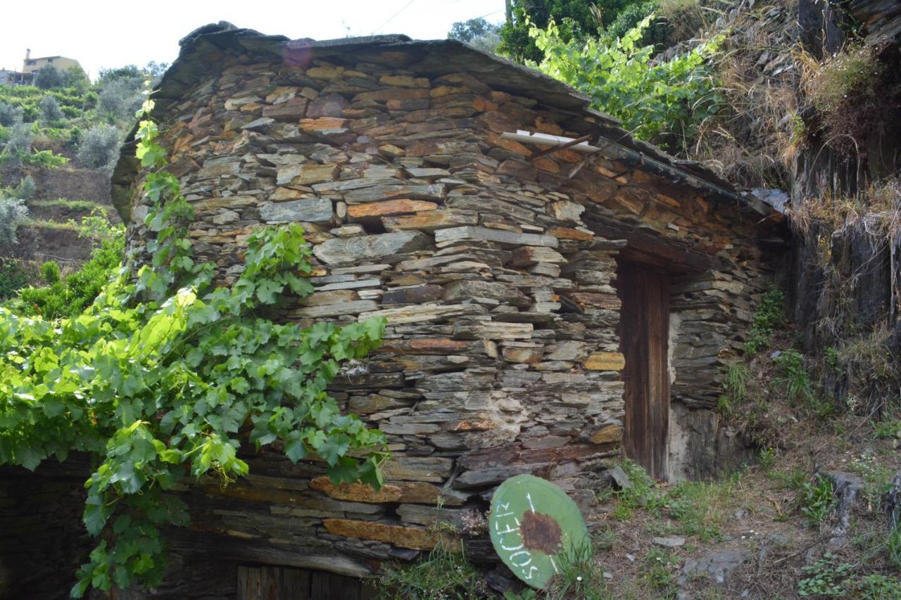 Casa Do Azereiro Villa Casal do Rei  Dış mekan fotoğraf